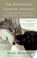 The emotional lives of animals : a leading scientist explores animal joy, sorrow, and empathy - and why they matter /