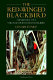 The red-winged blackbird : the biology of a strongly polygynous songbird /