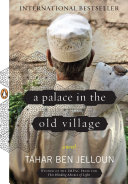 A palace in the old village : a novel /
