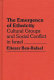 The emergence of ethnicity : cultural groups and social conflict in Israel /
