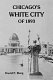 Toward an urban vision : ideas and institutions in nineteenth-century America /