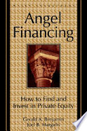 Angel financing : how to find and invest in private equity /