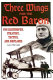 Three wings for the Red Baron : Von Richthofen, strategy, tactics, and airplanes /
