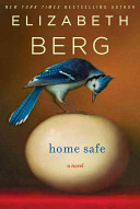 Home safe : a novel /