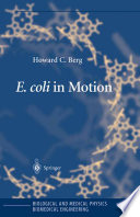 E. coli in motion /
