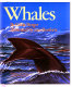 Whales /