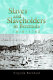 Slaves and slaveholders in Bermuda, 1616-1782 /