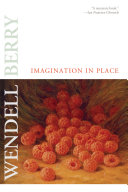 Imagination in place : essays /