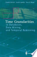 Time granularities in databases, data mining, and temporal reasoning /