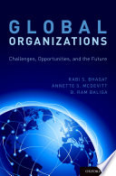 Global organizations  : challenges, opportunities, and the future /