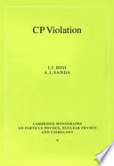 CP violation /