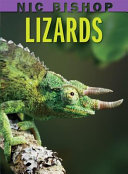 Lizards /