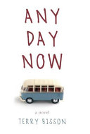 Any day now : a novel /