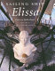Sailing ship Elissa /
