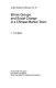 Ethnic groups and social change in a Chinese market town /