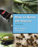 How to know the Insects /