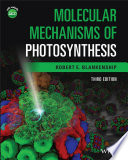 Molecular mechanisms of photosynthesis /