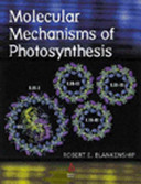 Molecular mechanisms of photosynthesis /