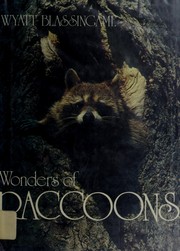 Wonders of raccoons /