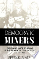 Democratic miners : work and labor relations in the anthracite coal industry, 1875-1925 /