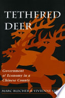 Tethered deer : government and economy in a Chinese county /
