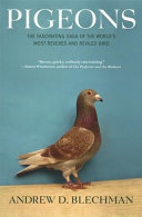 Pigeons : the fascinating saga of the world's most revered and reviled bird /