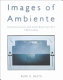 Images of ambiente : homotextuality and Latin American art, 1810-today /