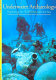 Underwater archaeology : exploring the world beneath the sea /