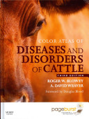 Color atlas of diseases and disorders of cattle /