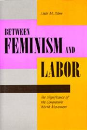 Between feminism and labor : the significance of the comparable worth movement /