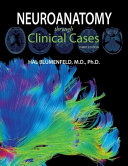 Neuroanatomy through clinical cases /