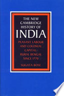 Peasant labour and colonial capital : rural Bengal since 1770 /