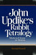 John Updike's Rabbit tetralogy : mastered irony in motion /