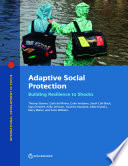 Adaptive social protection : building resilience to shocks /