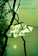Visible worlds : a novel /