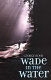 Wade in the water /