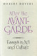 After the avant-garde : essays on art and culture /