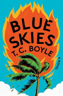 Blue skies : a novel /