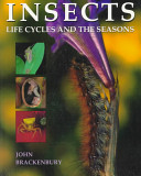 Insects : life cycles and the seasons /