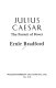 Julius Caesar : the pursuit of power /