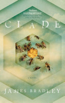 Clade /