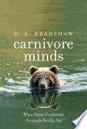 Carnivore minds : who these fearsome animals really are /