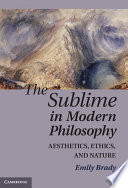 The sublime in modern philosophy : aesthetics, ethics, and nature /