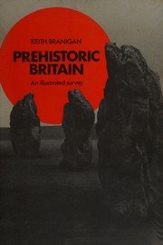 Prehistoric Britain : an illustrated survey /