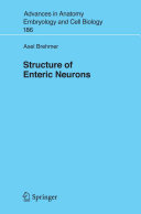 Structure of enteric neurons /