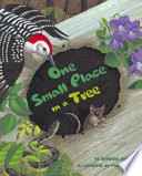 One small place in a tree /