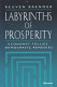 Labyrinths of prosperity : economic follies, democratic remedies /
