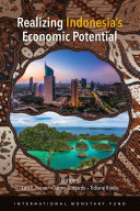 Realizing Indonesia's Economic Potential.