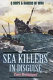 Sea killers in disguise : the story of Q-ships and decoy ships in the first World War /