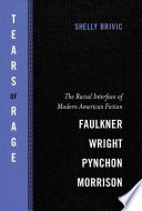Tears of rage : the racial interface of modern American fiction : Faulkner, Wright, Pynchon, Morrison /